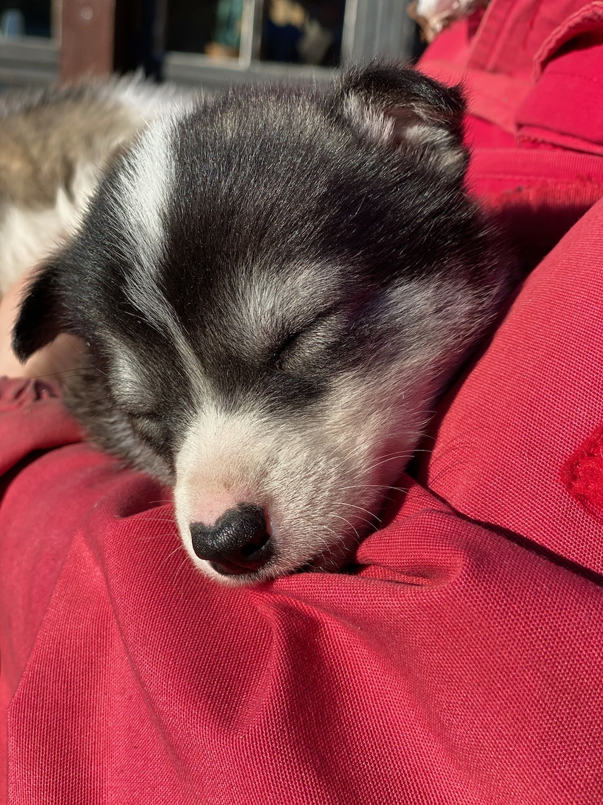 61f7b2fb86ca3a3f66481423 IMG 1712