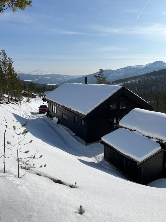 627e2aa9d581660d672ed2f6 IMG 5947