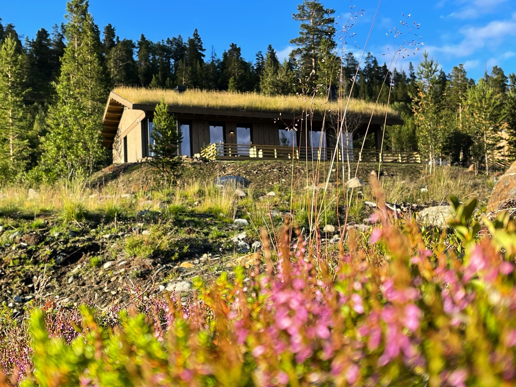 62ff88e586a57473f301d9de C7 AD5865 7439 4 CDB AD3 E 7935856 AF7 CDE